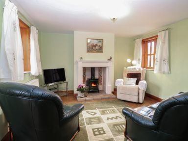A living room with a television and fireplace at Mabby in Caister-On-Sea