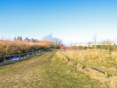 A path lined with bushes and a fence at Dove Cottage in Hexham