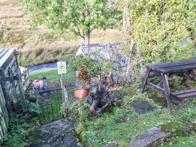 A garden with a bench and a sheep at Englewood Cottage in Hexham