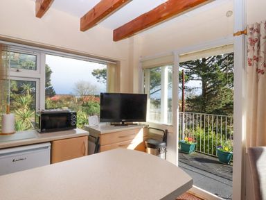A kitchen with a refrigerator and microwave at Flat 1 Lee Cliff Park, Dawlish Warren