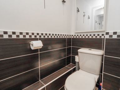 A bathroom featuring a toilet and toilet paper holder at 55 Meldon terrace Newbiggin-by-the-Sea