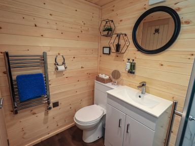 A bathroom with a sink, toilet, and mirror at Bluebelle - Crossgate Luxury Glamping in Hartsop