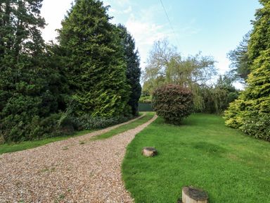 A gravel path surrounded by trees and shrubs at Barton Lodge in Porlock