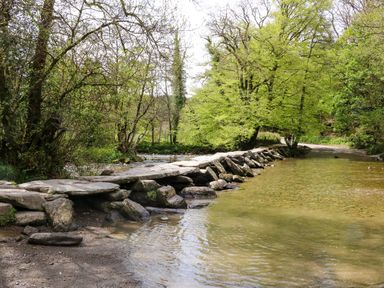 A stream with stepping stones and trees at Barton Lodge Porlock