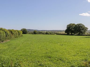 A field with grass and trees in the background at Ty Mawr Farm in Llanfairpwllgwyngyll