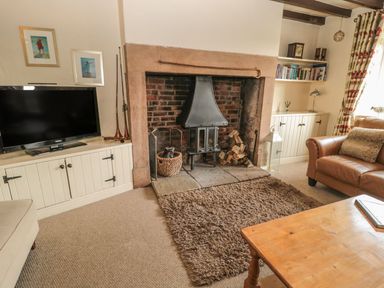 A living room with a television and fireplace at Shepherds Nook in Chathill