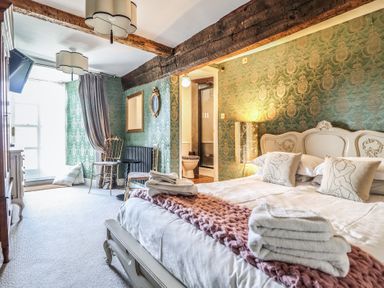 A bedroom with a bed and a television at Plas Dolguog in Machynlleth