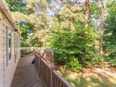 An outdoor deck area with trees and chairs at Fern View - Kelling Heath Holiday Park Weybourne near Sheringham