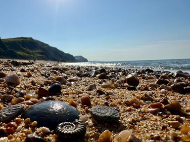 A beach with pebbles and cliffs at Salt & Stone Lyme Regis