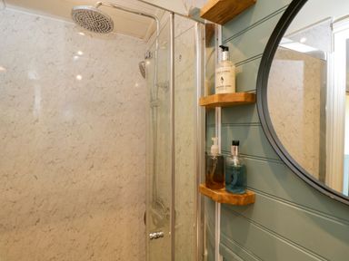 A bathroom with a shower and soap dispensers at Daisy Shepherd's Hut South Molton