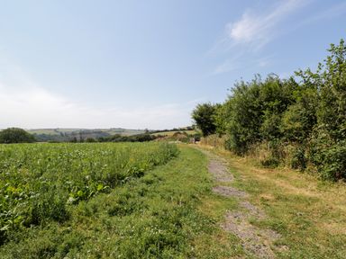 A path leading through a field with bushes and hills at Daisy Shepherd's Hut in South Molton