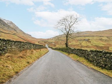 A road with a tree and stone walls in a landscape at Ambwray in Ambleside