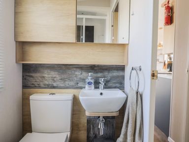A bathroom with a toilet and sink at Bordeaux, Ladram Bay Otterton