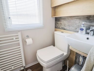 A bathroom with a toilet and sink at Bordeaux in Ladram Bay Otterton