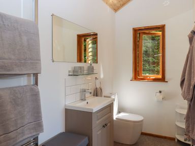 A bathroom with a sink, toilet, and mirror at Nelli Lodge at Mile End, Crediton