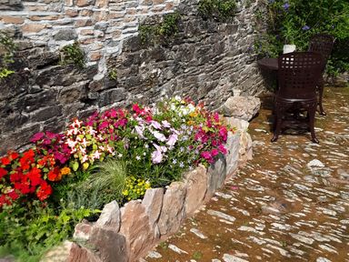 A garden with flowers alongside a stone wall at Quiet cottage on the rural edge of Brixham