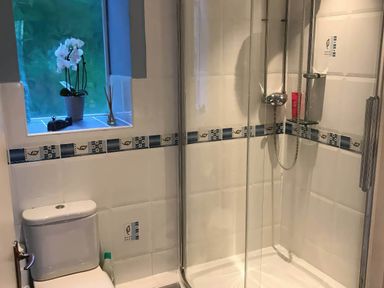 A bathroom with a shower and toilet at Beachside 2-Bed - Sleeps 4, Parking & Pet Friendly in Salcombe