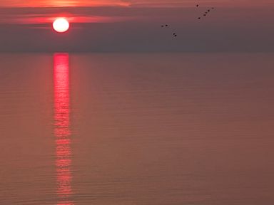 A sunset over water with birds flying at Briar Bank Barmouth
