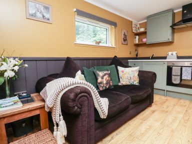 A living room with a sofa and kitchen features at Owls Nest Lodge in South Molton