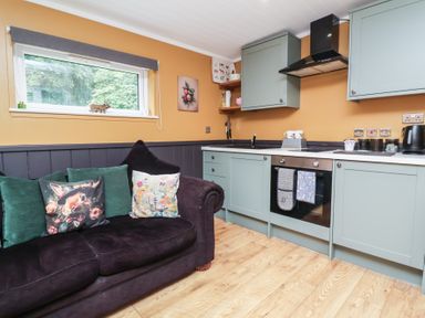 A kitchen with a sofa and cabinets at Owls Nest Lodge South Molton