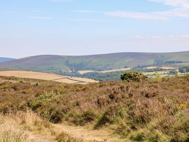 A landscape with heather and hills at Owls Nest Lodge South Molton