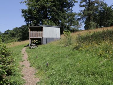 A building with a deck and a path at Robins Nest Lodge South Molton