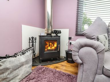 A living room with a stove and fire at Hedgehogs Lodge South Molton