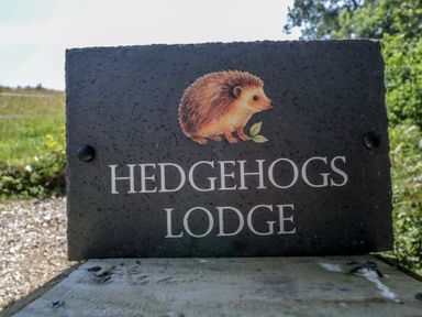 A sign for Hedgehogs Lodge with a hedgehog illustration at Hedgehogs Lodge in South Molton