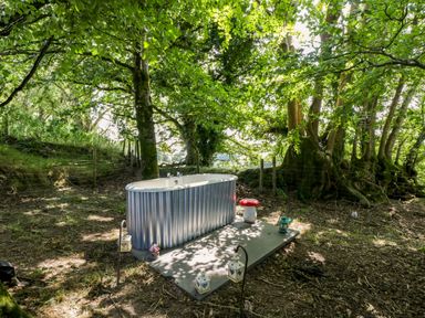 A bathtub placed on a concrete base in a forested outdoor area at Valley View Shepherd's Hut in South Molton