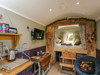 A living room with a bed and kitchenette at Valley View Shepherd's Hut in South Molton