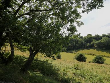 A landscape with trees and hills at Valley View Shepherd's Hut in South Molton