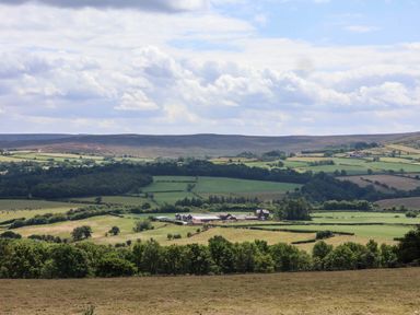 A landscape view with fields and trees at Swallow Cottage in Lealholm
