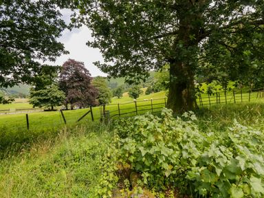 A rural landscape with trees and a field at Bobbin Nook