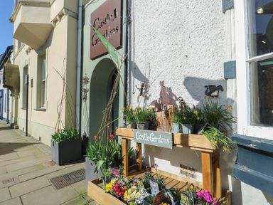 An outdoor display of flowers and plants at Castle Gardens Apartment in Beaumaris