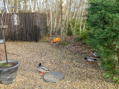 Property photo 16 of 18