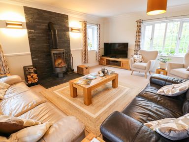 A living room with a fireplace and sofas at Stone Lodge near Haltwhistle
