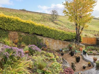 A garden with flowers, a stone wall, and a tree at Stone Lodge near Haltwhistle