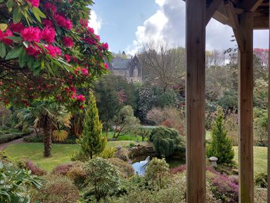 A garden view with flowers and a pond at Lukesland Wing near Ivybridge