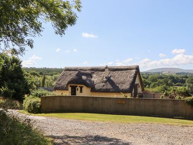 A thatched roof house with a pathway and trees at The Cottage in Sampford Courtenay
