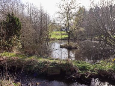A body of water surrounded by trees at Gardeners Lodge