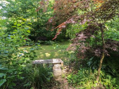 A garden with a bench surrounded by trees and plants at Brookview Kingfisher Haverfordwest