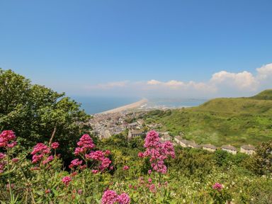 A view of coastline with flowers and hills at NO 10 Fortuneswell