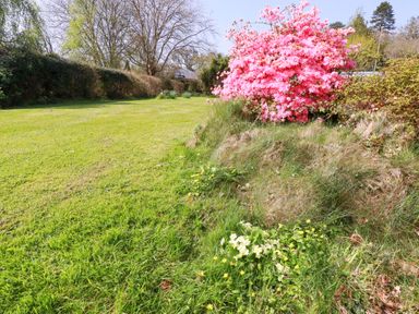 A garden with a flowering bush and grass at Tregoning in Lostwithiel