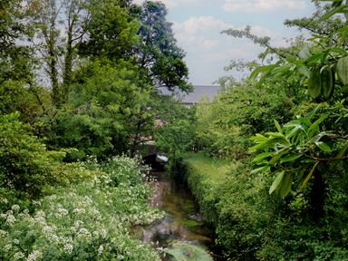 A view of a stream with trees and flowers near a bridge at 2 North Road, Maiden Newton, Dorset
