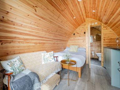 A studio with a couch and a bed at Peaceful pod with bay views, walk to 3 beaches in St Ives