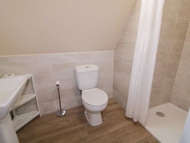 A bathroom with a toilet, sink, and shower at Cabin 9 Inish Beag Gortahawk