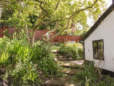 A garden with a pathway and flowers at Upper Frogpool Cottage in Crediton