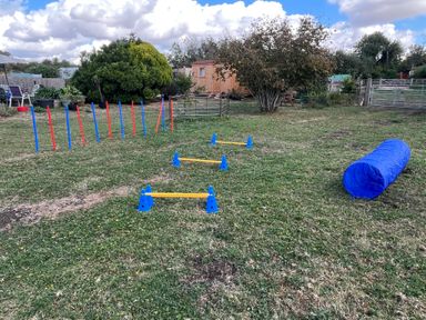 An outdoor agility training area with hurdles and a tunnel at Hazel in Downham Market