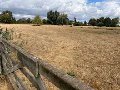 A field with a fence and trees at Hazel, Downham Market