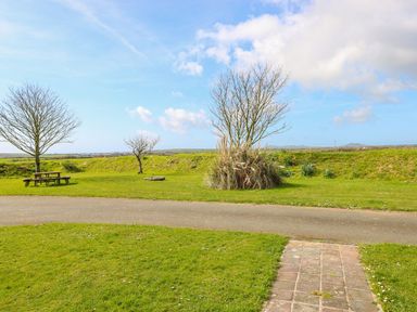 An outdoor area with a picnic table and trees at Park Hall Cottage, Solva